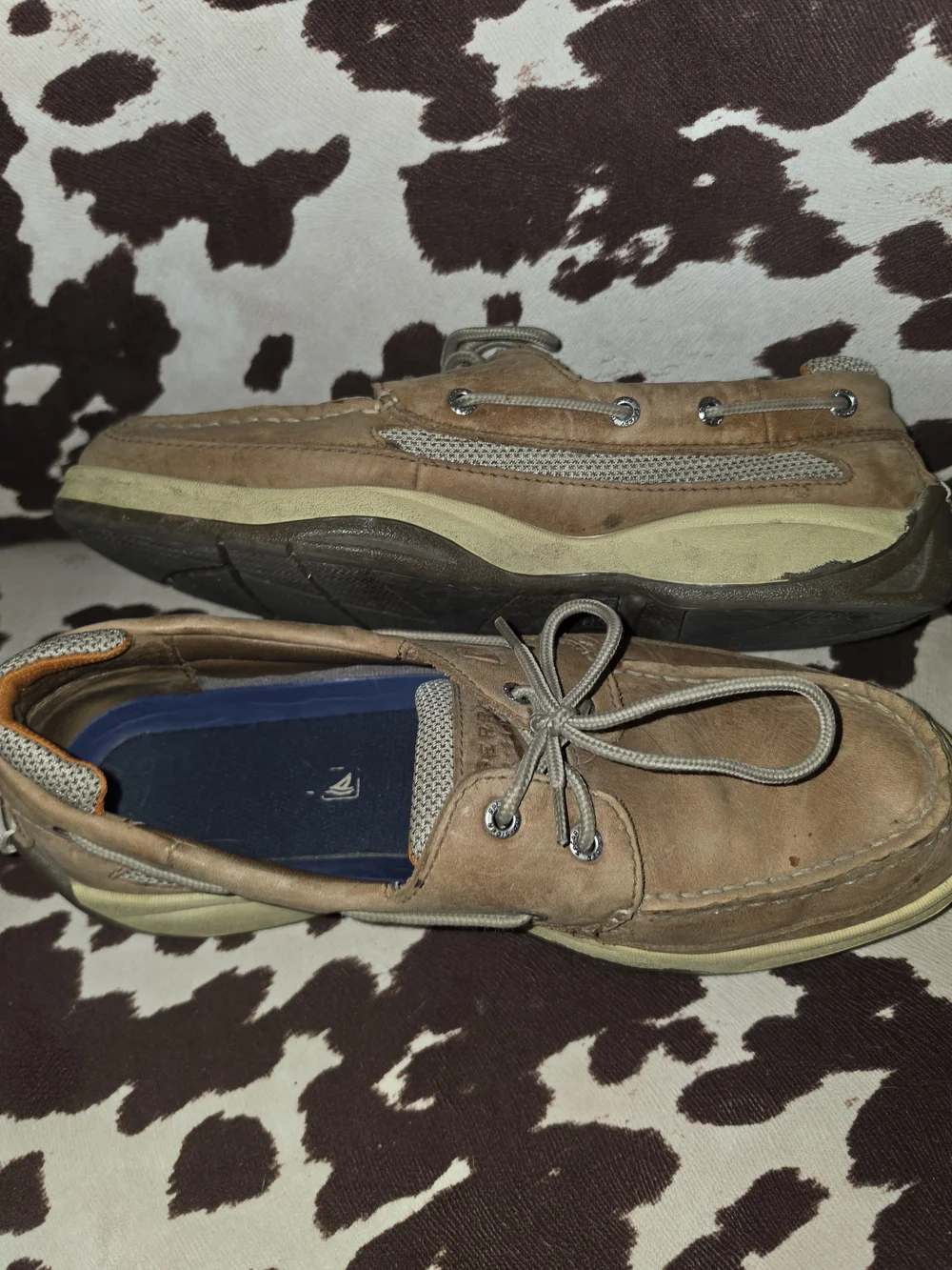 Men's Sperry Boat Shoes